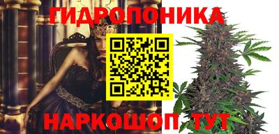 шишки Краснознаменск