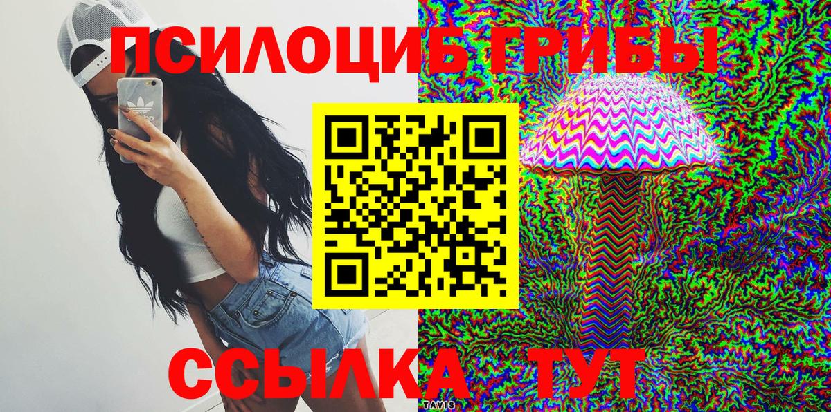Псилоцибиновые грибы Cubensis Дербент