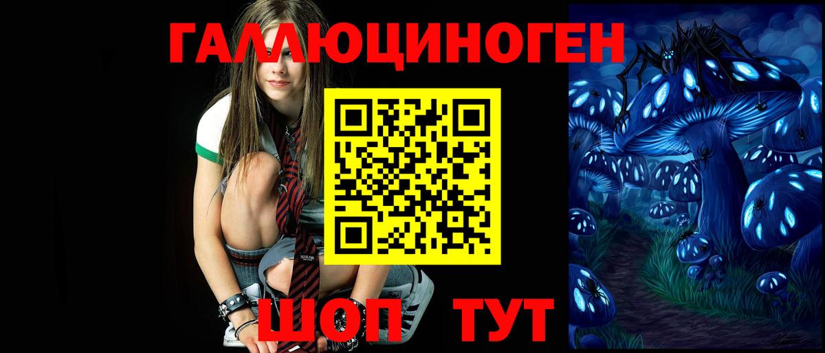 где можно купить   Псилоцибиновые грибы мицелий  Вход с VPN  Дербент  Псилоцибиновые грибы мухоморы 